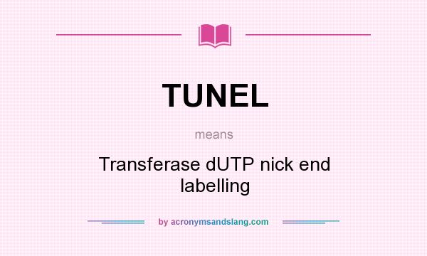 What does TUNEL mean? It stands for Transferase dUTP nick end labelling