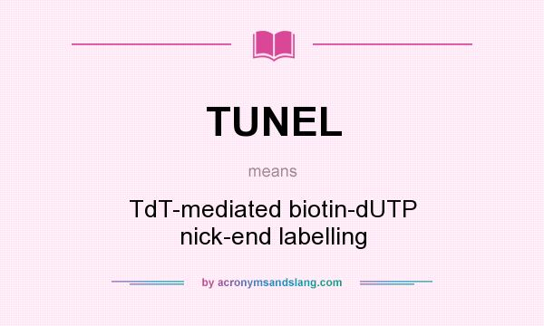 What does TUNEL mean? It stands for TdT-mediated biotin-dUTP nick-end labelling