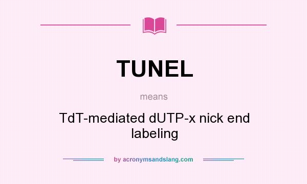 What does TUNEL mean? It stands for TdT-mediated dUTP-x nick end labeling