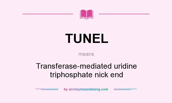 What does TUNEL mean? It stands for Transferase-mediated uridine triphosphate nick end