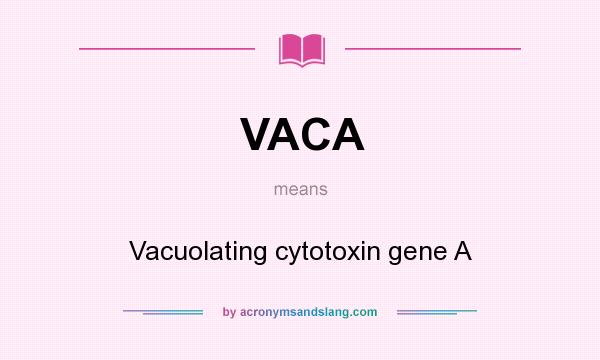 What does VACA mean? It stands for Vacuolating cytotoxin gene A