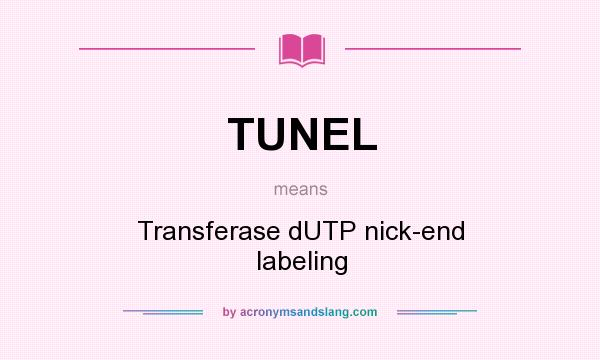 What does TUNEL mean? It stands for Transferase dUTP nick-end labeling