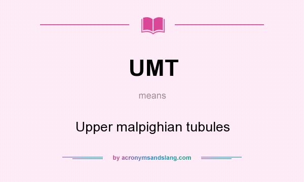 What does UMT mean? It stands for Upper malpighian tubules
