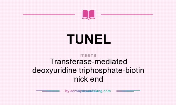 What does TUNEL mean? It stands for Transferase-mediated deoxyuridine triphosphate-biotin nick end