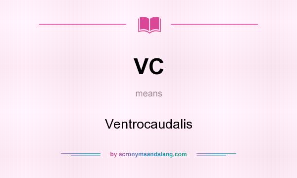What does VC mean? It stands for Ventrocaudalis