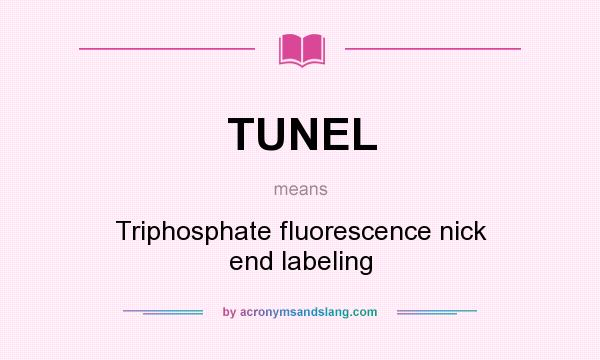 What does TUNEL mean? It stands for Triphosphate fluorescence nick end labeling