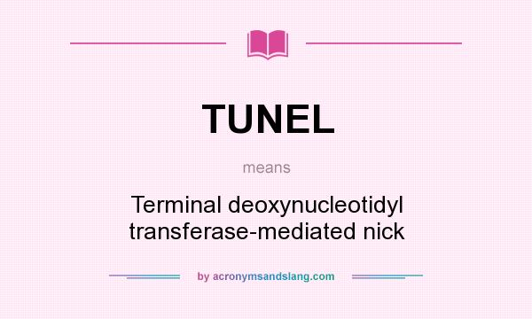 What does TUNEL mean? It stands for Terminal deoxynucleotidyl transferase-mediated nick