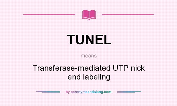 What does TUNEL mean? It stands for Transferase-mediated UTP nick end labeling