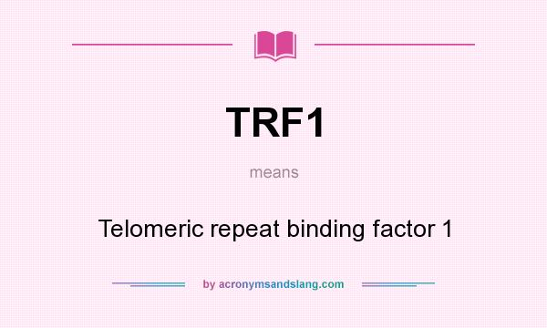 What does TRF1 mean? It stands for Telomeric repeat binding factor 1