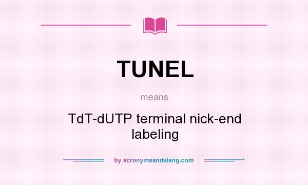 What does TUNEL mean? It stands for TdT-dUTP terminal nick-end labeling