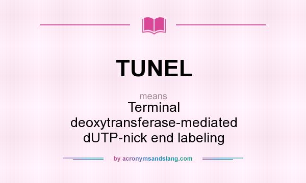 What does TUNEL mean? It stands for Terminal deoxytransferase-mediated dUTP-nick end labeling