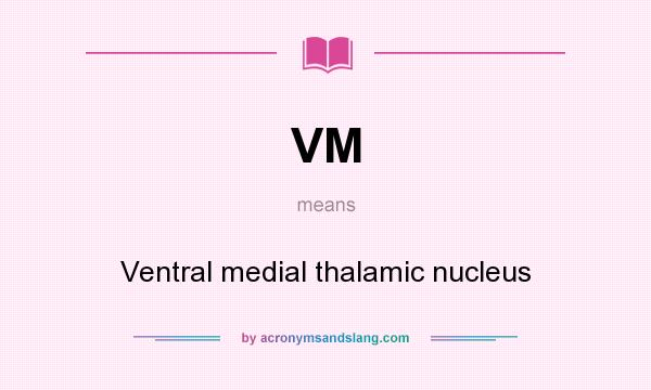 What does VM mean? It stands for Ventral medial thalamic nucleus