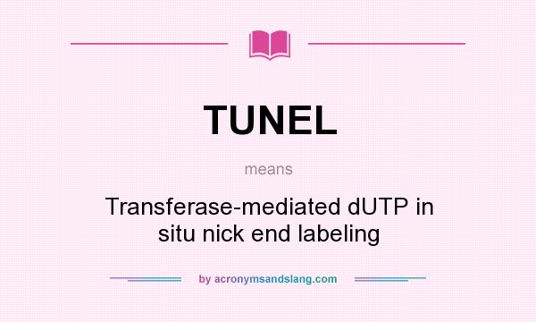 What does TUNEL mean? It stands for Transferase-mediated dUTP in situ nick end labeling