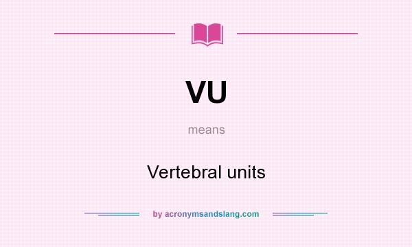 What does VU mean? It stands for Vertebral units