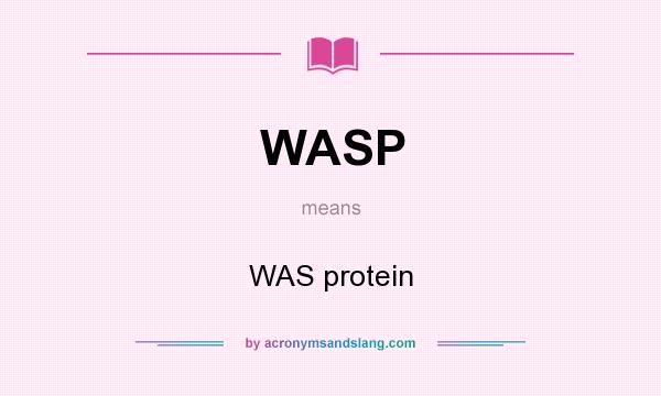 What does WASP mean? It stands for WAS protein