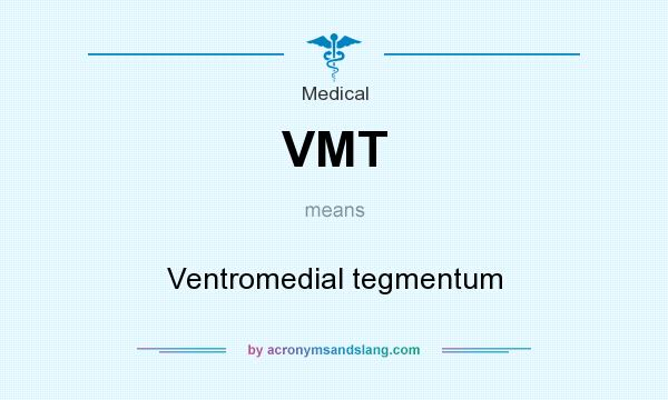 What does VMT mean? It stands for Ventromedial tegmentum