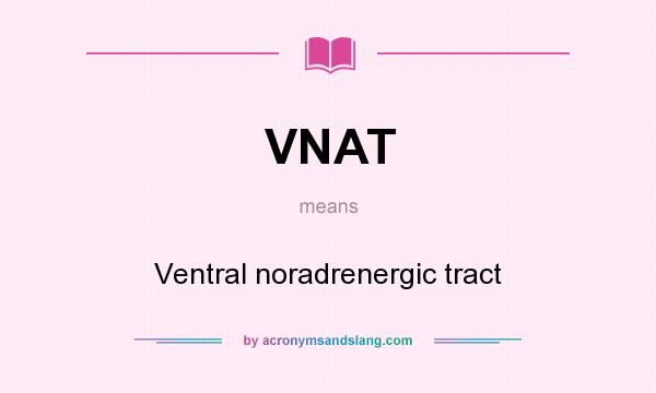 What does VNAT mean? It stands for Ventral noradrenergic tract