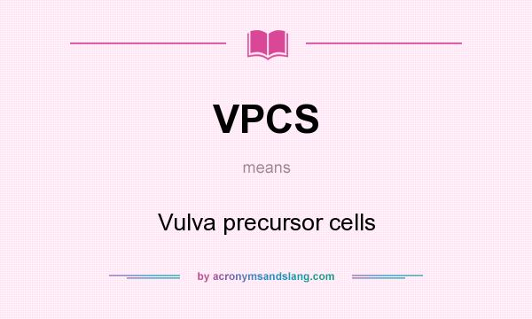 What does VPCS mean? It stands for Vulva precursor cells
