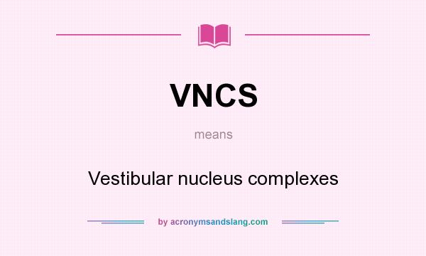 What does VNCS mean? It stands for Vestibular nucleus complexes