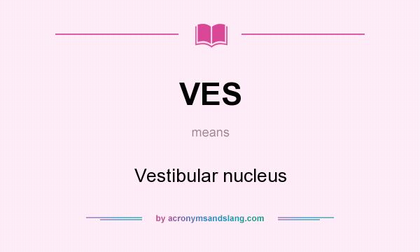 What does VES mean? It stands for Vestibular nucleus