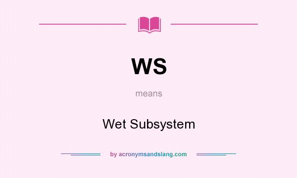 What does WS mean? It stands for Wet Subsystem