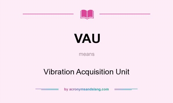 What does VAU mean? It stands for Vibration Acquisition Unit