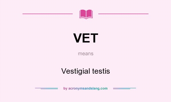 What does VET mean? It stands for Vestigial testis