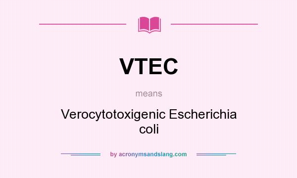 What does VTEC mean? It stands for Verocytotoxigenic Escherichia coli