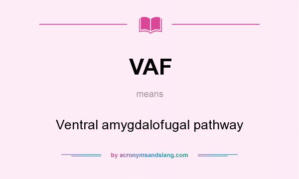 What does VAF mean? It stands for Ventral amygdalofugal pathway