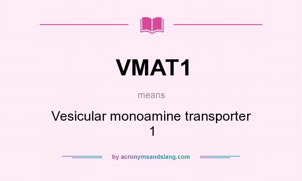 What does VMAT1 mean? It stands for Vesicular monoamine transporter 1