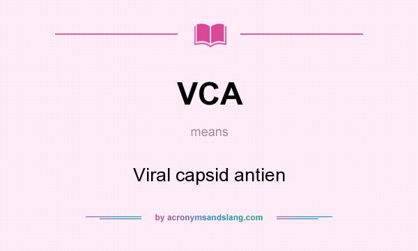 What does VCA mean? It stands for Viral capsid antien