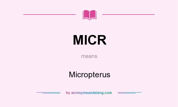 What does MICR mean? It stands for Micropterus