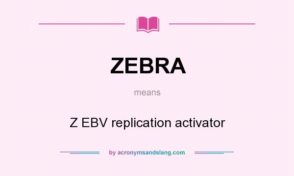 What does ZEBRA mean? It stands for Z EBV replication activator
