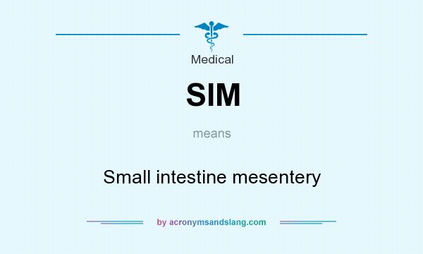 What does SIM mean? It stands for Small intestine mesentery