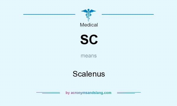 What does SC mean? It stands for Scalenus