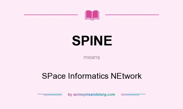 What does SPINE mean? It stands for SPace Informatics NEtwork