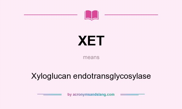 What does XET mean? It stands for Xyloglucan endotransglycosylase