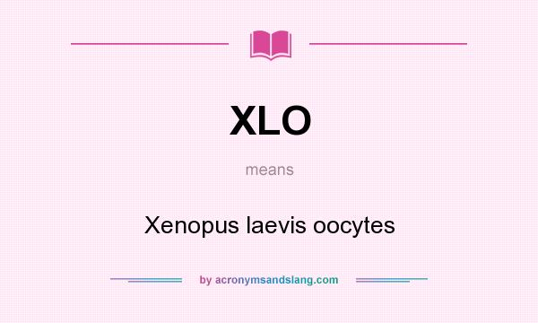 What does XLO mean? It stands for Xenopus laevis oocytes