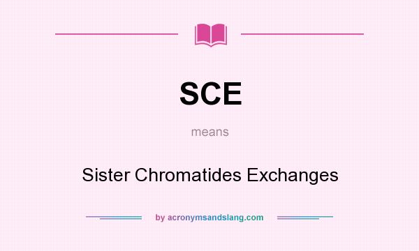 What does SCE mean? It stands for Sister Chromatides Exchanges