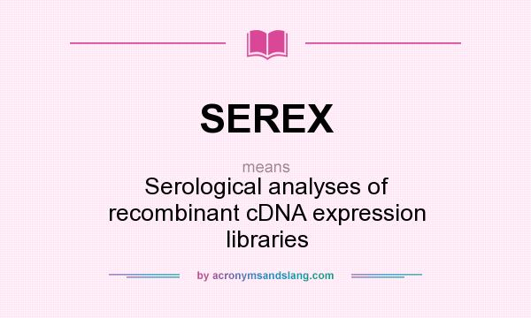 What does SEREX mean? It stands for Serological analyses of recombinant cDNA expression libraries