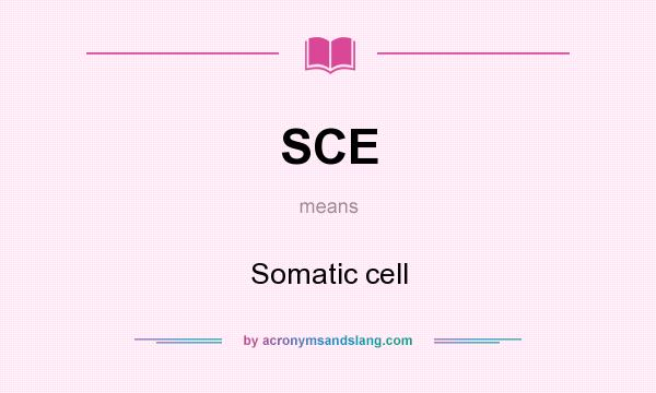 What does SCE mean? It stands for Somatic cell