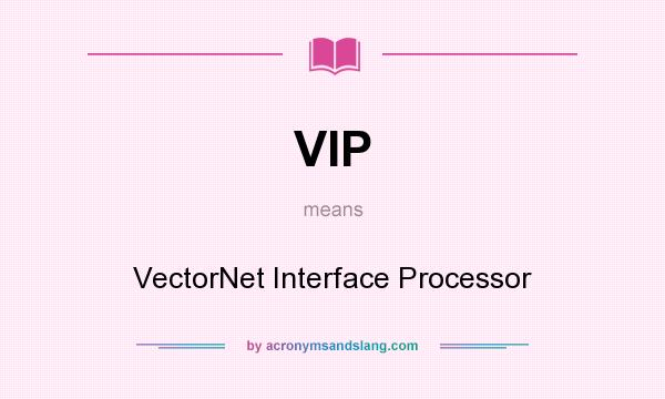 What does VIP mean? It stands for VectorNet Interface Processor