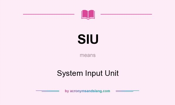 What does SIU mean? It stands for System Input Unit
