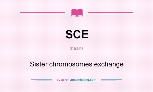 What does SCE mean? It stands for Sister chromosomes exchange