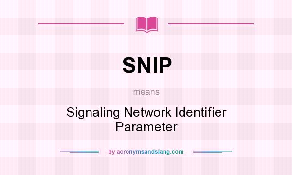 What does SNIP mean? It stands for Signaling Network Identifier Parameter