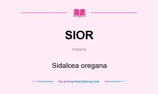 What does SIOR mean? It stands for Sidalcea oregana