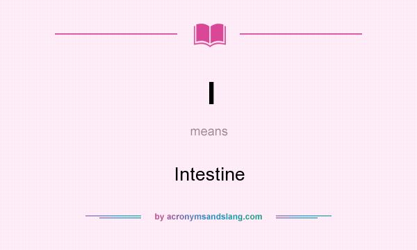 What does I mean? It stands for Intestine
