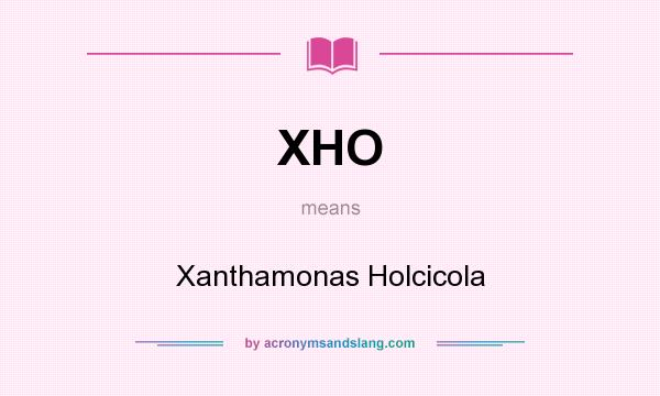What does XHO mean? It stands for Xanthamonas Holcicola