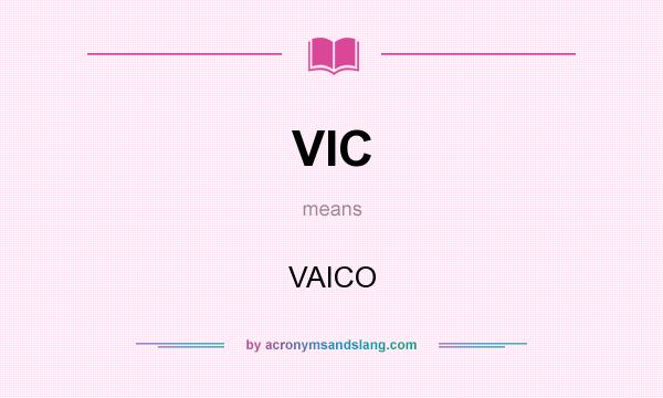 What does VIC mean? It stands for VAICO