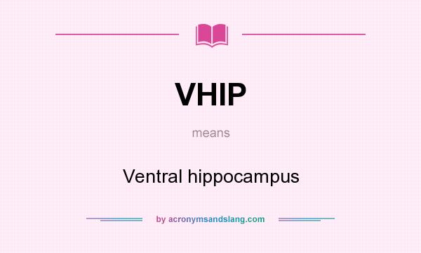 What does VHIP mean? It stands for Ventral hippocampus